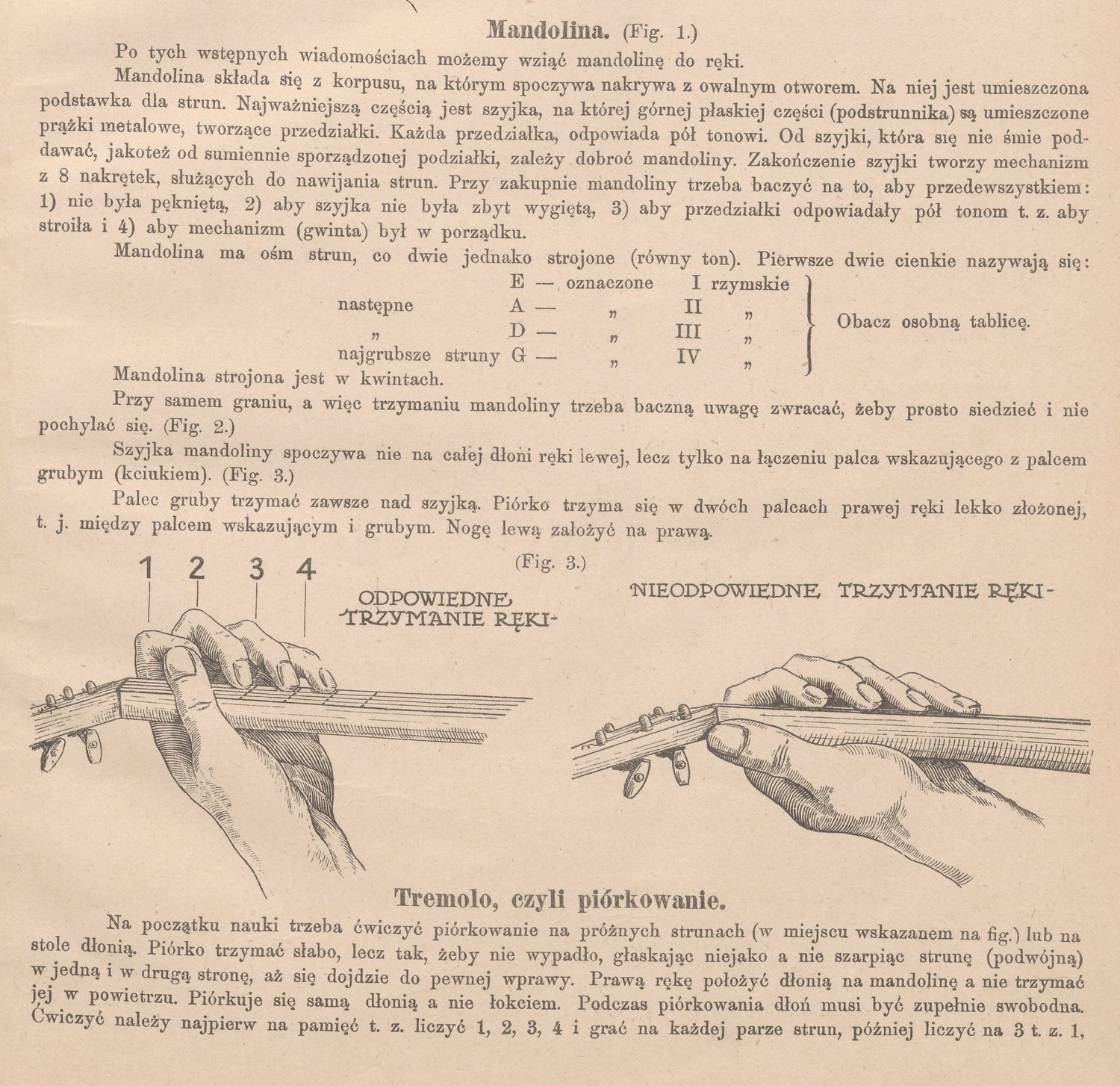 Haltung der linken Hand Image
