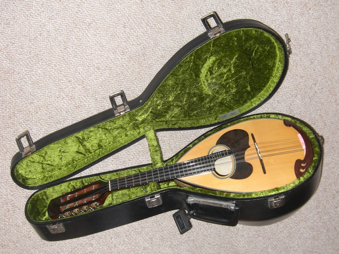 Suzuki Mandoline im Koffer