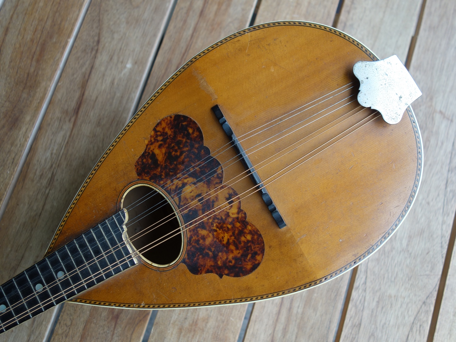 Washburn Mandoline