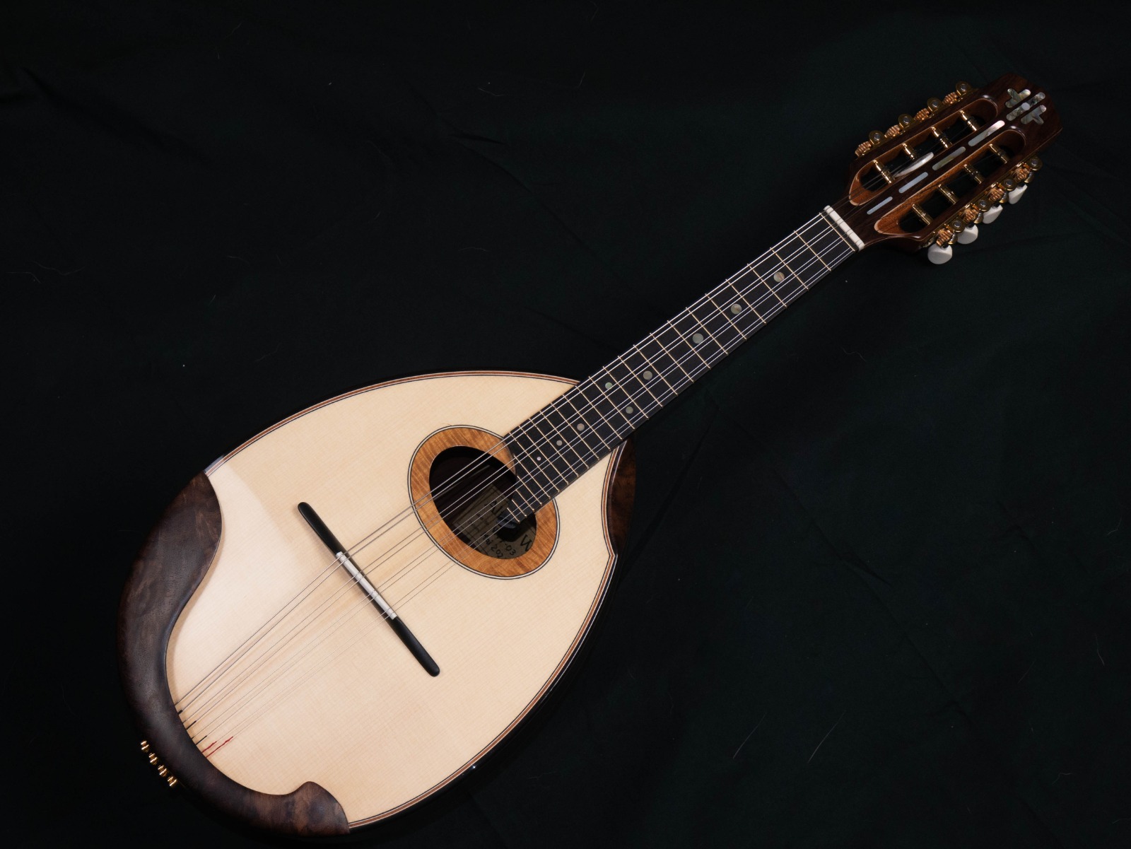 Mandoline von Alfed Woll, Modell Solista (2021) Héctor M. Marin Téllez Mandoline Alfed Woll