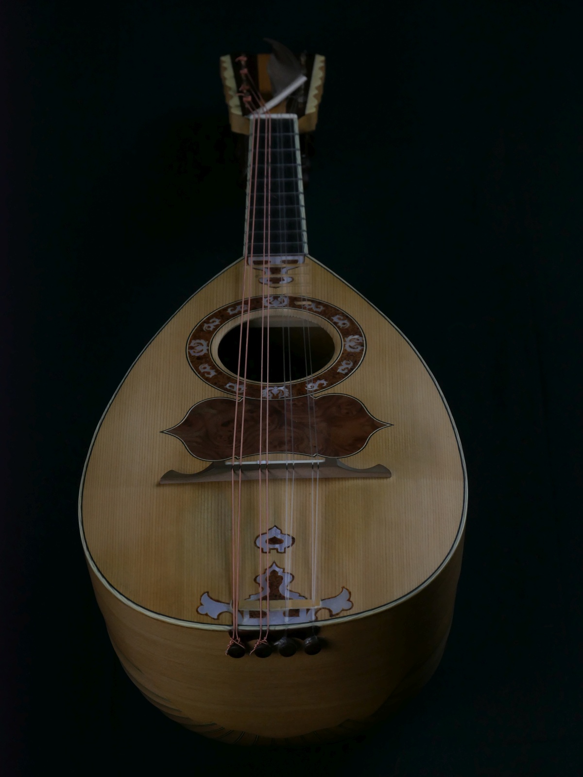 Kopie einer Vinaccia Mandoline, Modell Héctor M. Marin Téllez Mandoline Vinaccia