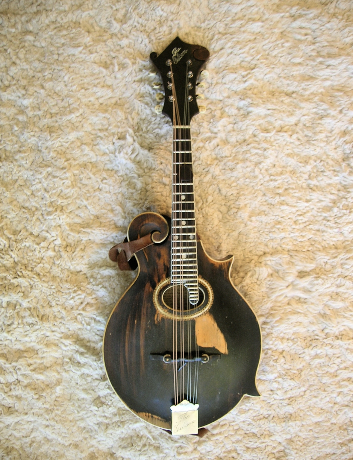 Phil Lawerence Mandoline Instrument des Jahres Mandolinenspieler des Tages