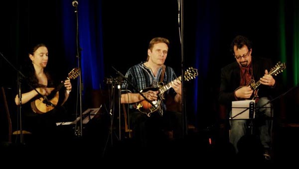 Radim Zenkl Mandoline Instrument des Jahres Mandolinenspieler des Tages