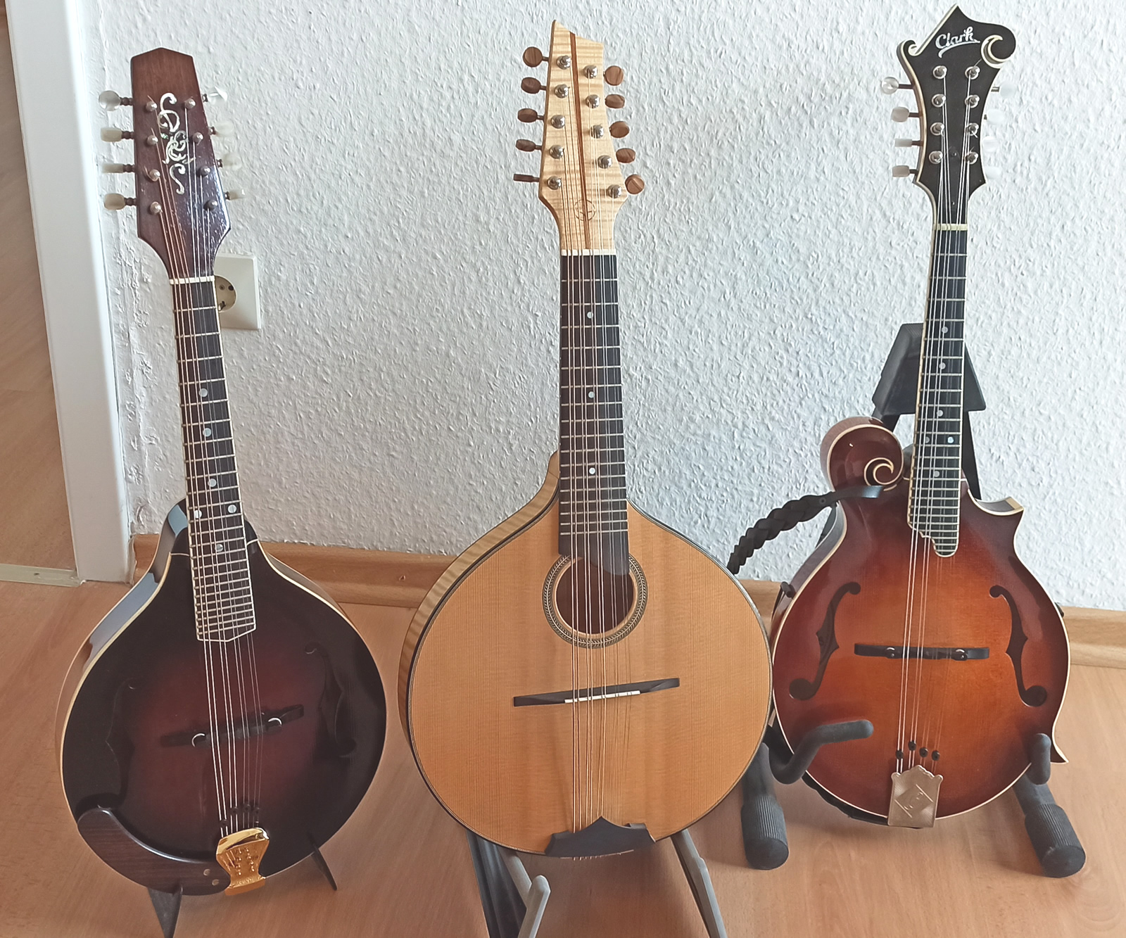 Christian Gasde - Mandolinen Christian Gasde Mandoline Instrument des Jahres Mandolinenspieler des Tages