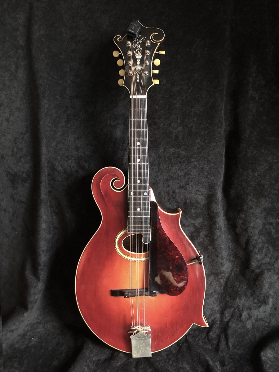 Gibson H4 Mandola Kuno Wagner Mandoline Instrument des Jahres Mandolinenspieler des Tages