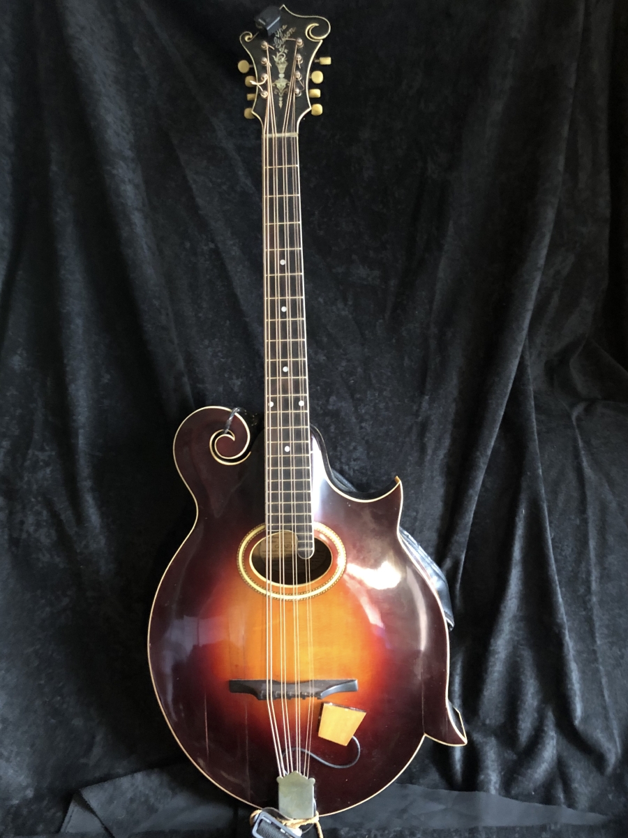 Gibson K4 Mandocello Kuno Wagner Mandoline Instrument des Jahres Mandolinenspieler des Tages
