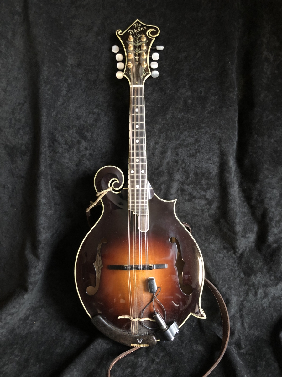 Weber Fern Mandoline Kuno Wagner Mandoline Instrument des Jahres Mandolinenspieler des Tages