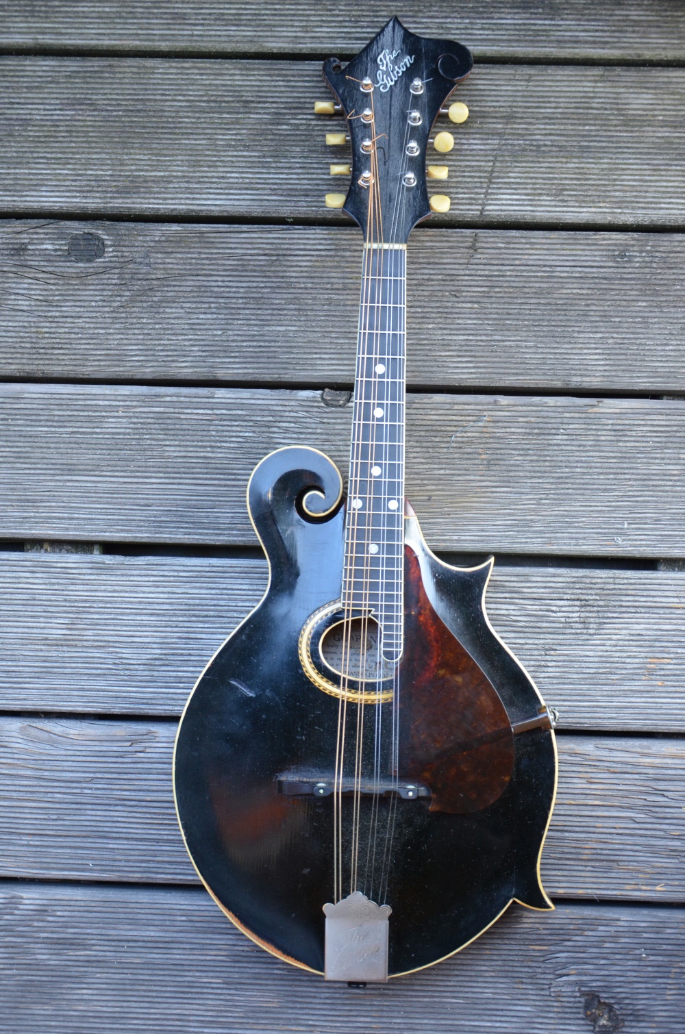 Rainer Zellner Bluegrass  Mandoline