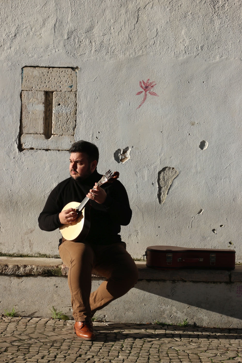Fernando Dalcin Mandoline Instrument des Jahres Mandolinenspieler des Tages
