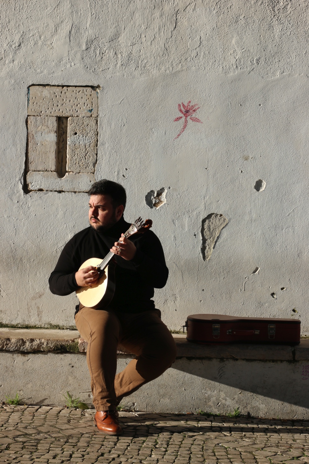 Fernando Dalcin  Mandoline Instrument des Jahres Mandolinenspieler des Tages