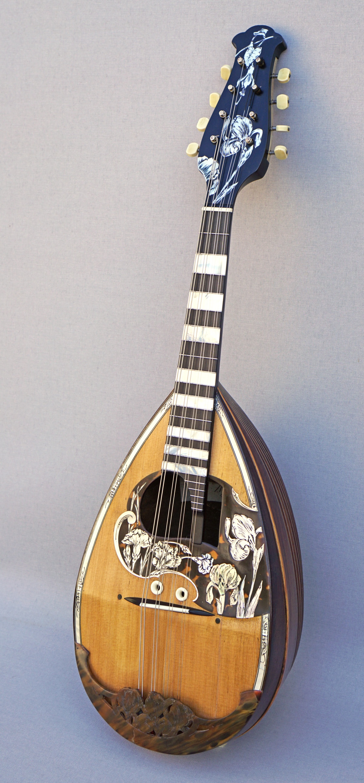 Mandoline von R. Calace (Foto A. Woll) Tiny Moore Mandoline Instrument des Jahres Mandolinenspieler des Tages