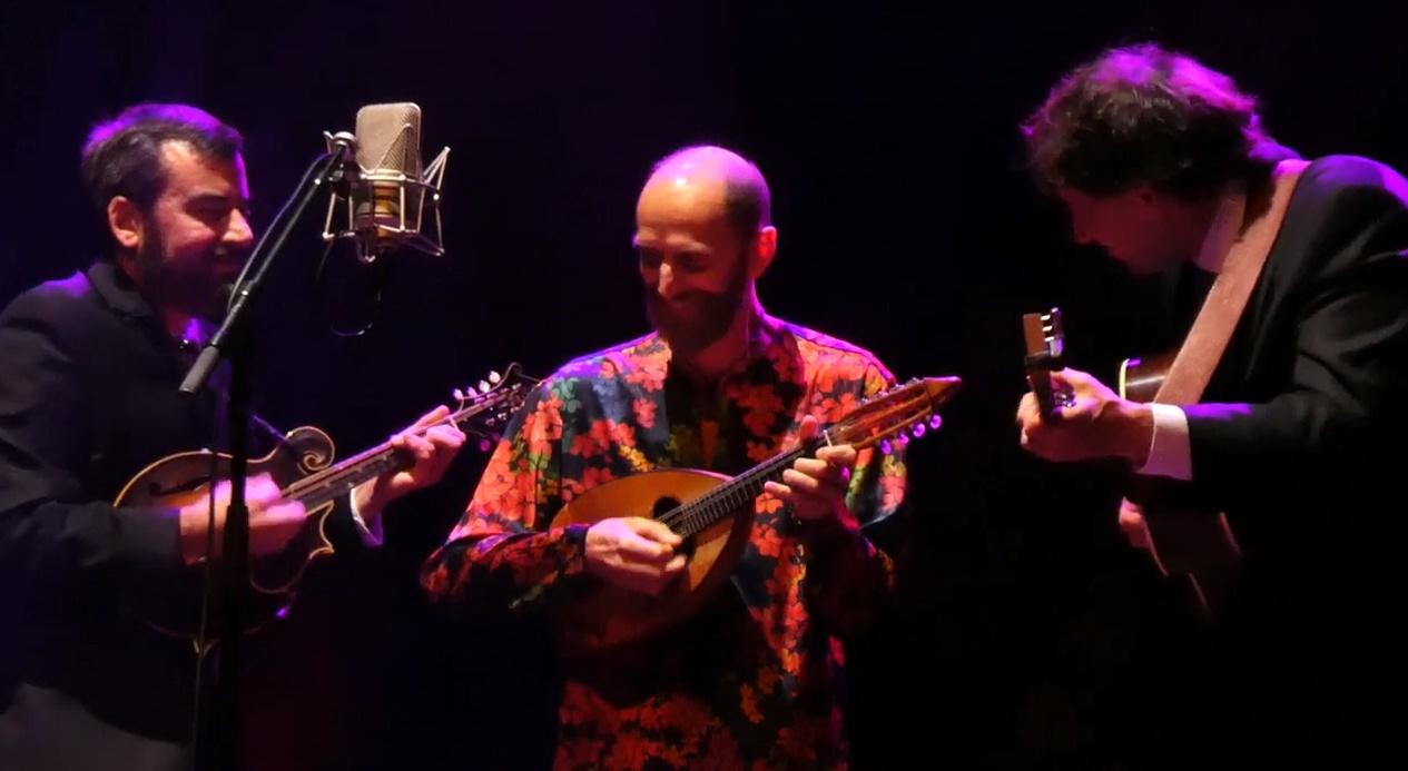 Mike Guggino Mandoline Instrument des Jahres Mandolinenspieler des Tages