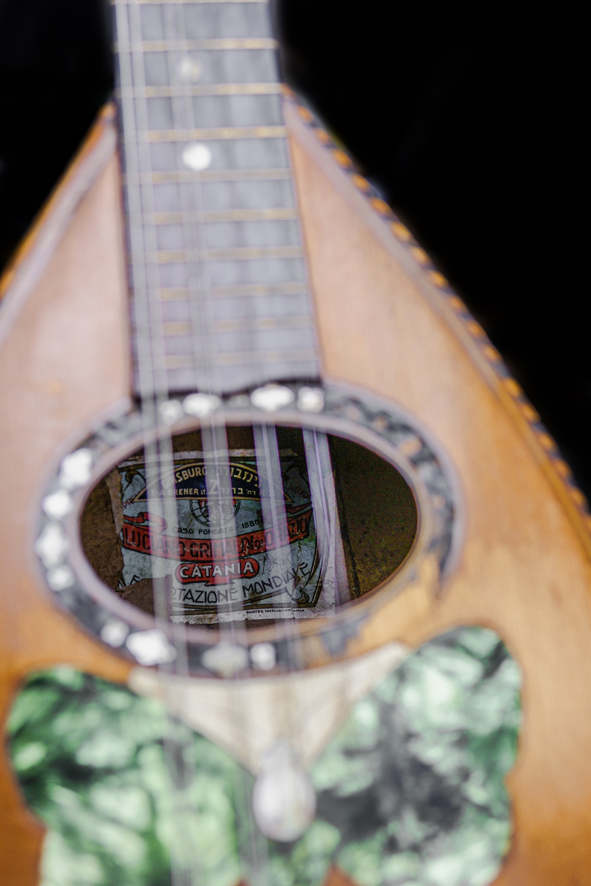 Uros Racovec Mandola Mandoline Instrument des Jahres Mandolinenspieler des Tages