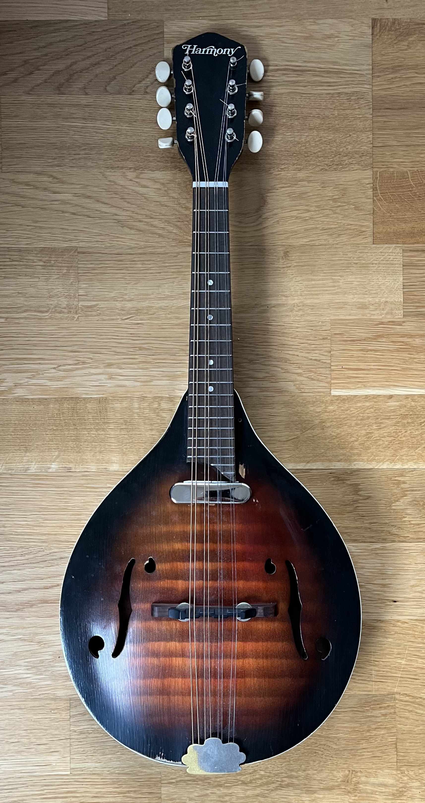 Ferdinand Kraemer Mandoline Instrument des Jahres Mandolinenspieler des Tages