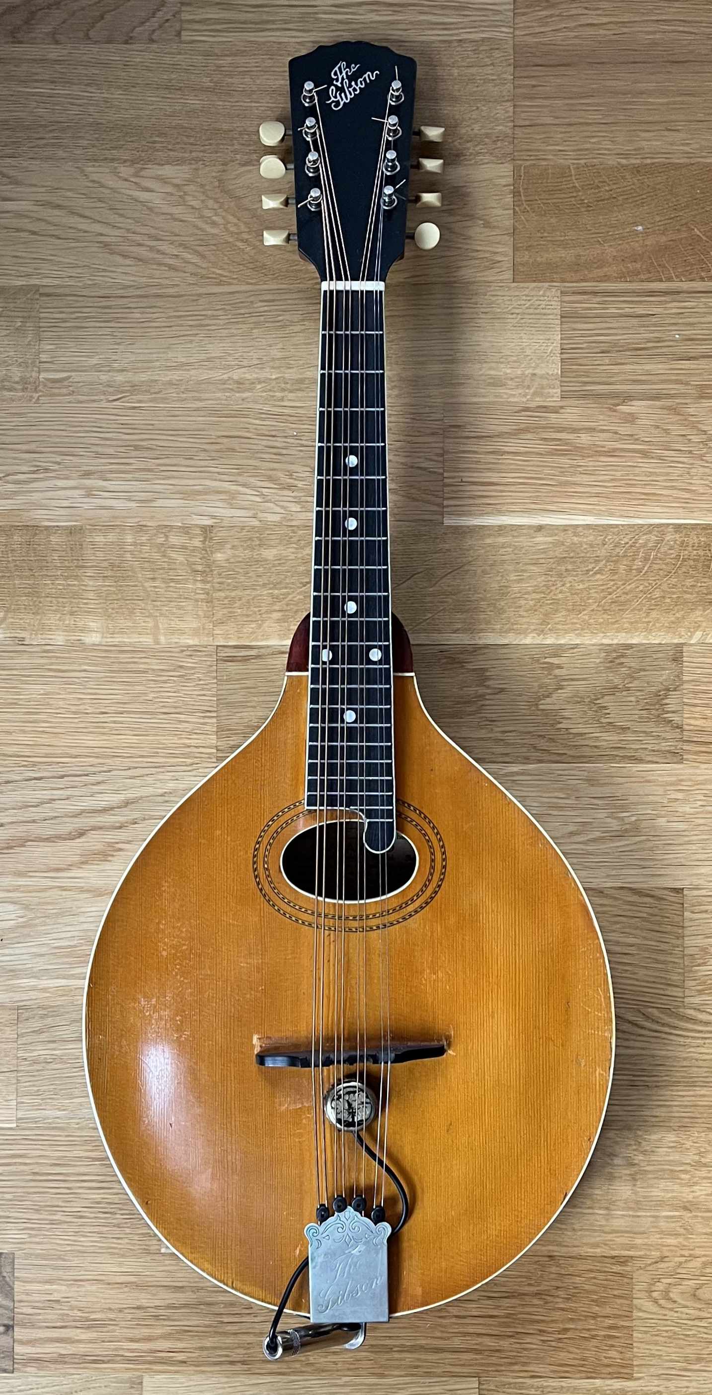 Ferdinand Kraemer Mandoline Instrument des Jahres Mandolinenspieler des Tages