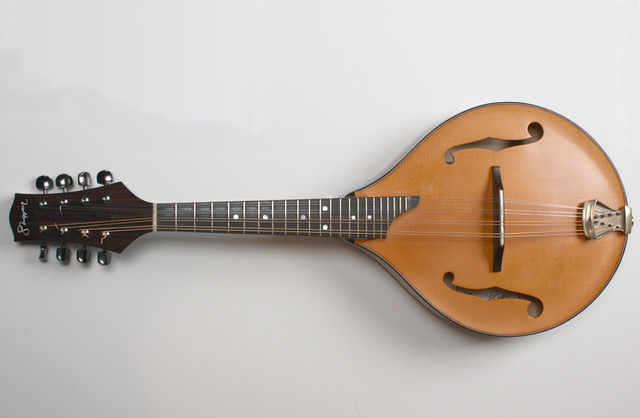 Davoid Griffiths Mandoline Instrument des Jahres Mandolinenspieler des Tages