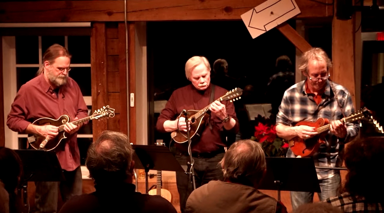 Jamie Masefield Mandoline Instrument des Jahres Mandolinenspieler des Tages