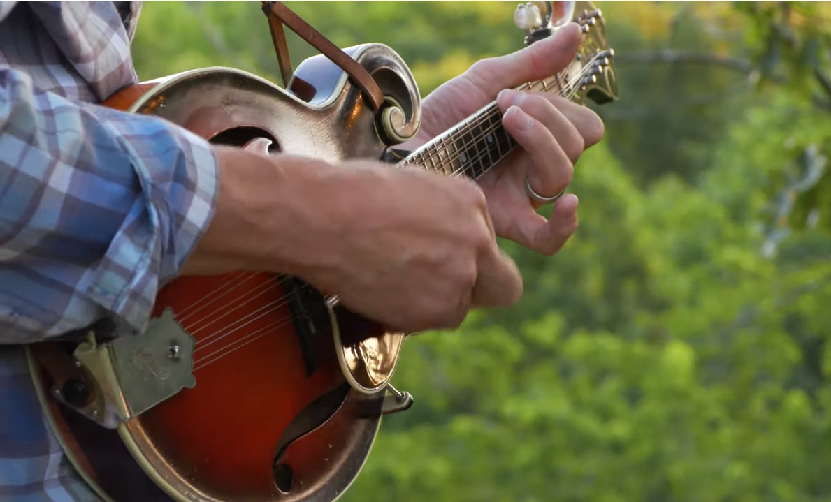 Mark Stoffel  Mandoline Instrument des Jahres Mandolinenspieler des Tages