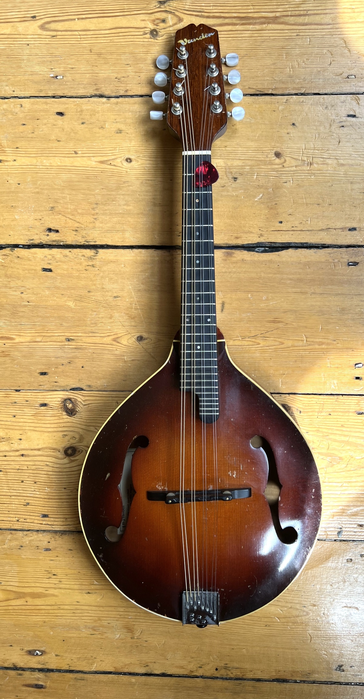 Simon Mayor Mandoline Instrument des Jahres Mandolinenspieler des Tages