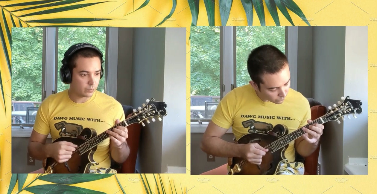 Tristan Scroggins Mandoline Instrument des Jahres Mandolinenspieler des Tages