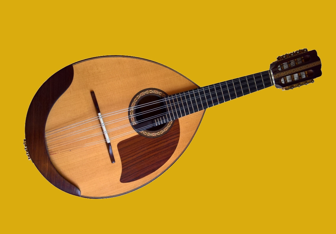 Kerstin Draken Mandoline Instrument des Jahres Mandolinenspieler des Tages