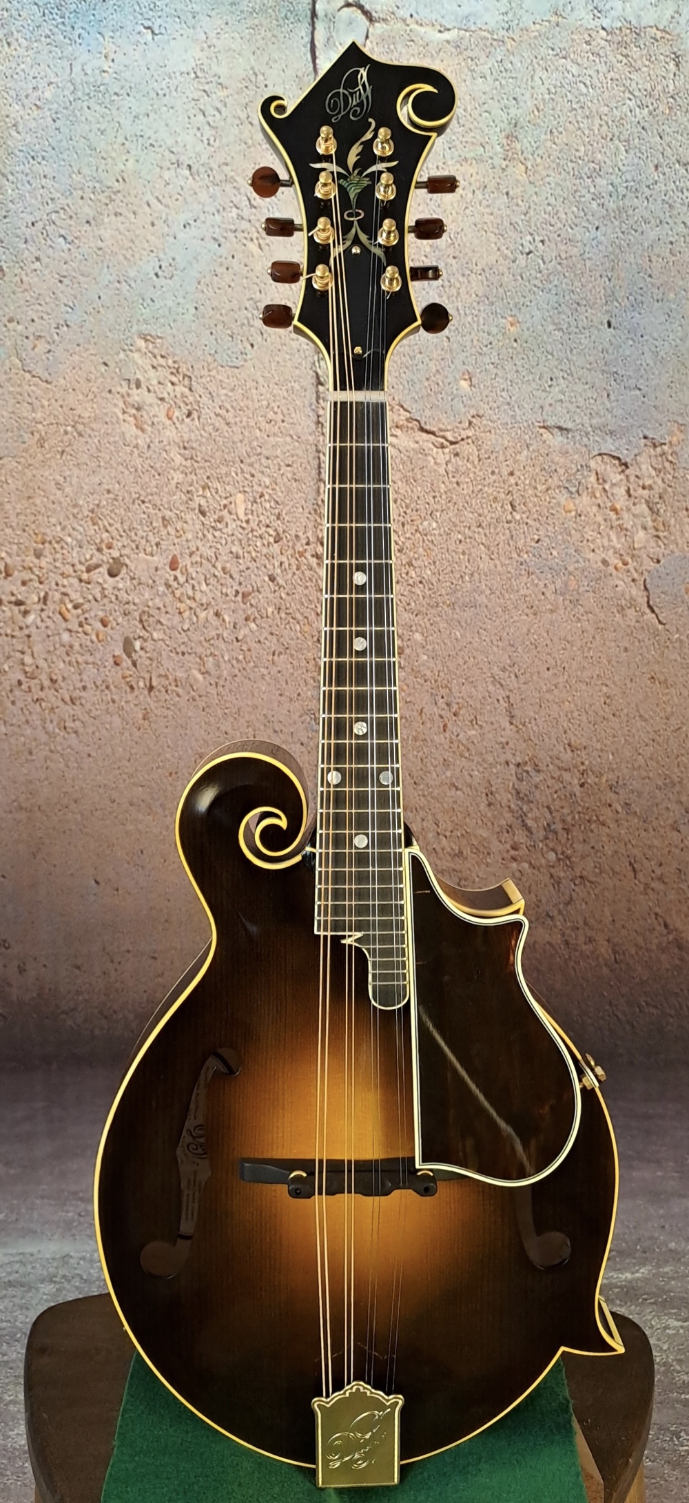 Jim Richter Mandoline Instrument des Jahres Mandolinenspieler des Tages