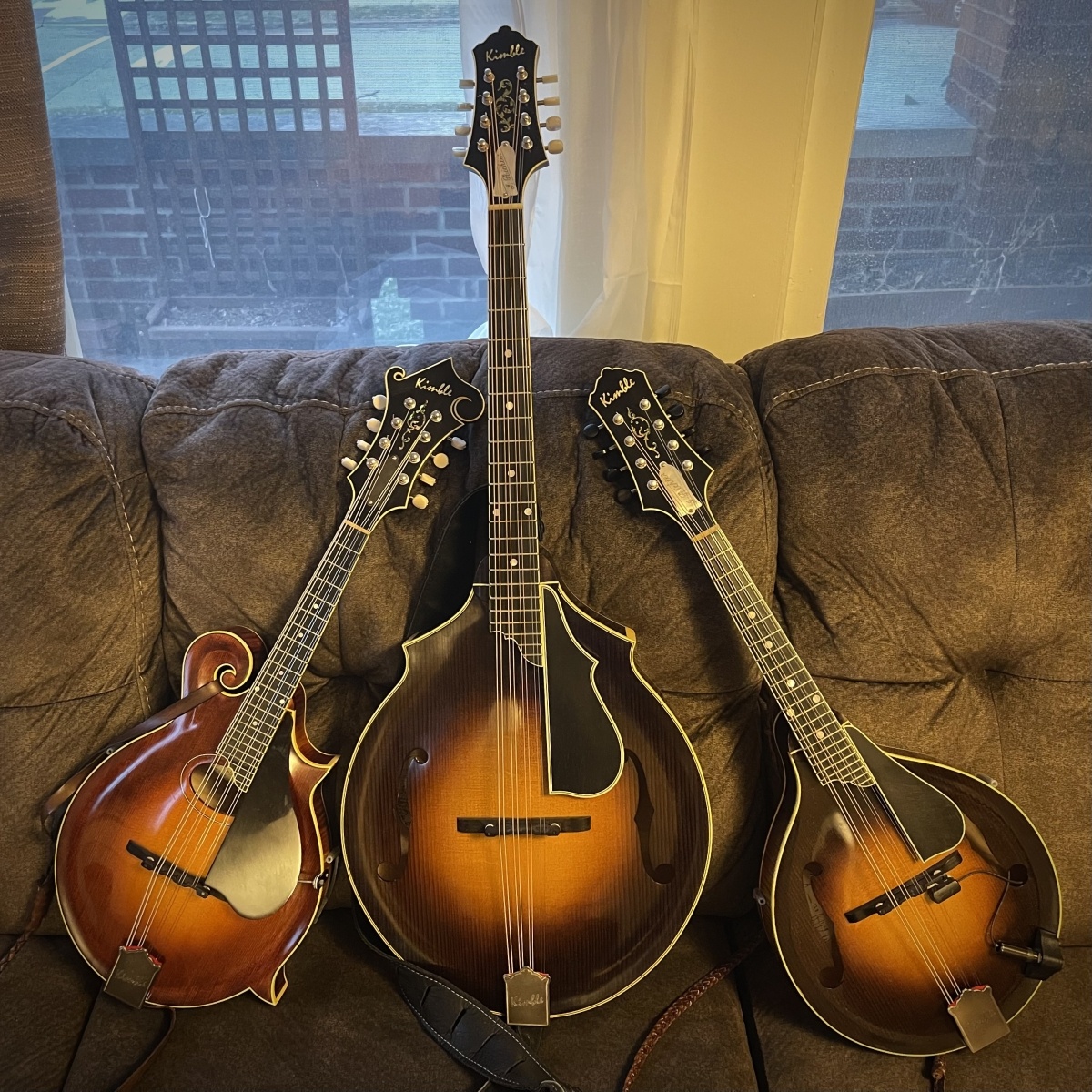 Jim Richter Mandoline Instrument des Jahres Mandolinenspieler des Tages