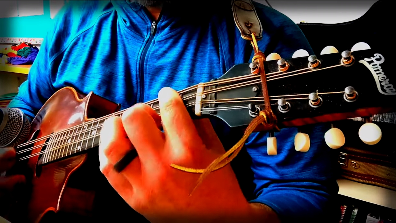 Colin Botts Mandoline Instrument des Jahres Mandolinenspieler des Tages