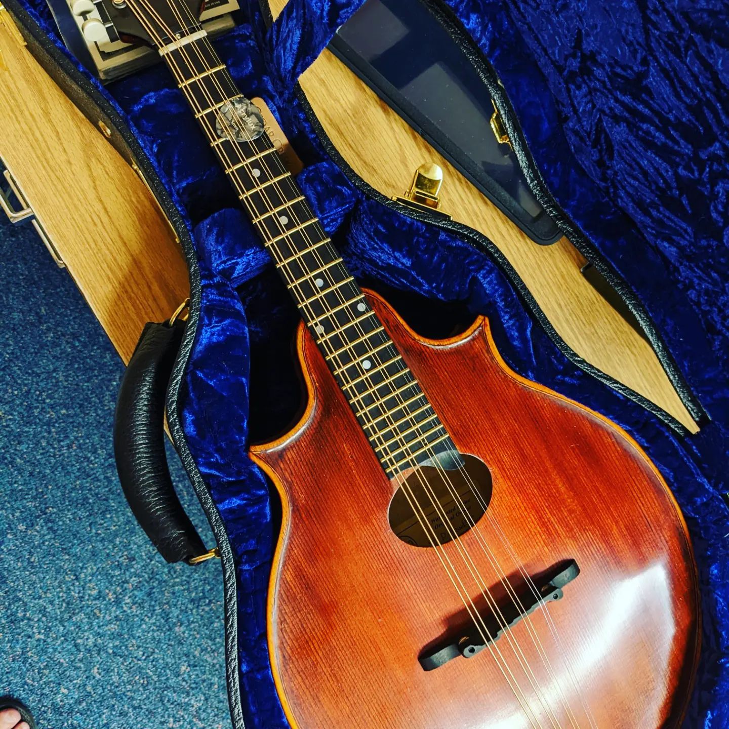 Colin Botts Mandoline Instrument des Jahres Mandolinenspieler des Tages