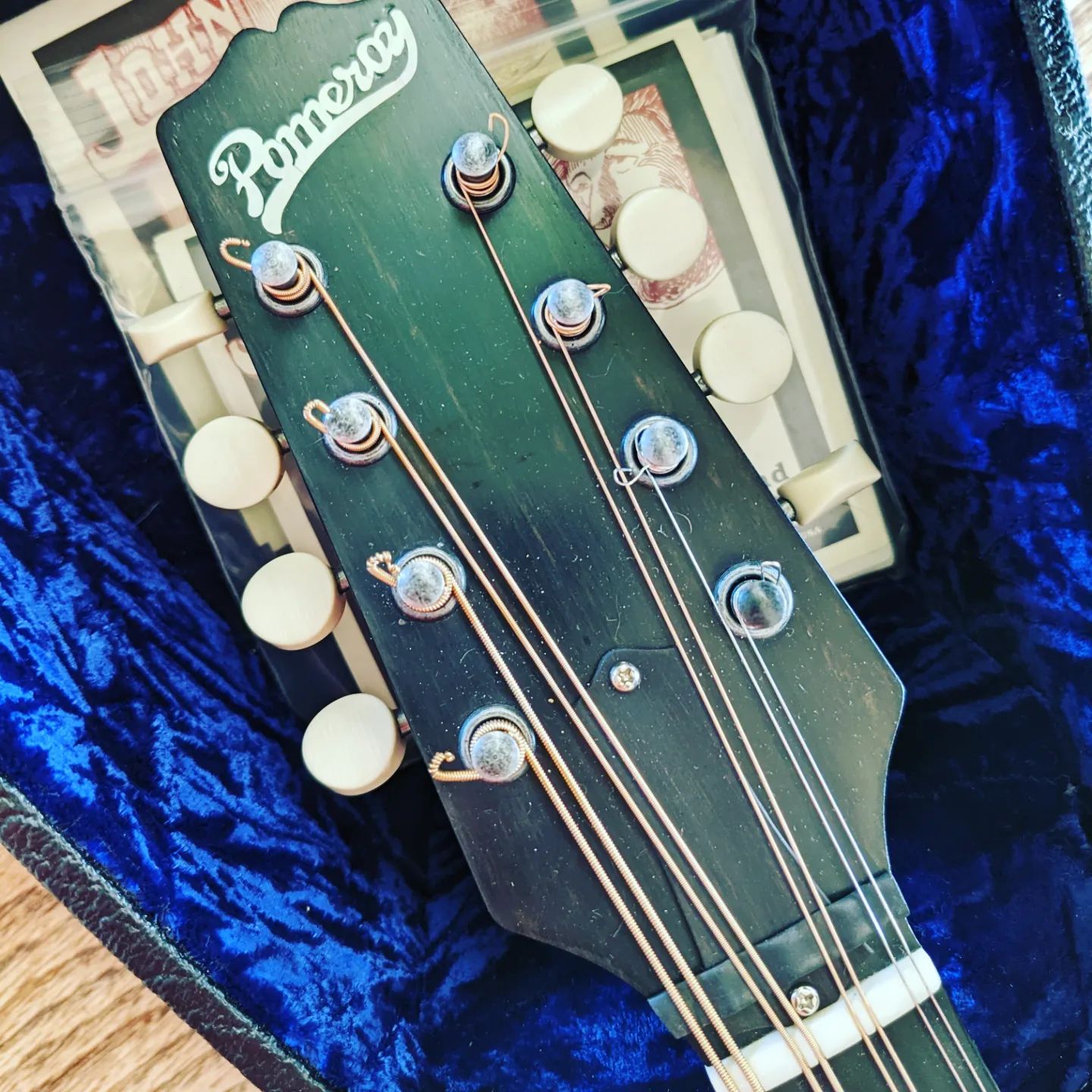 Colin Botts Mandoline Instrument des Jahres Mandolinenspieler des Tages