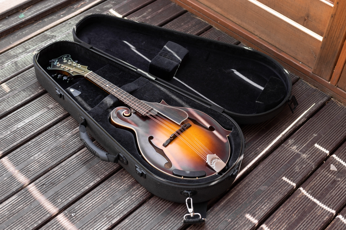 Yura Lytkin Mandoline Instrument des Jahres Mandolinenspieler des Tages