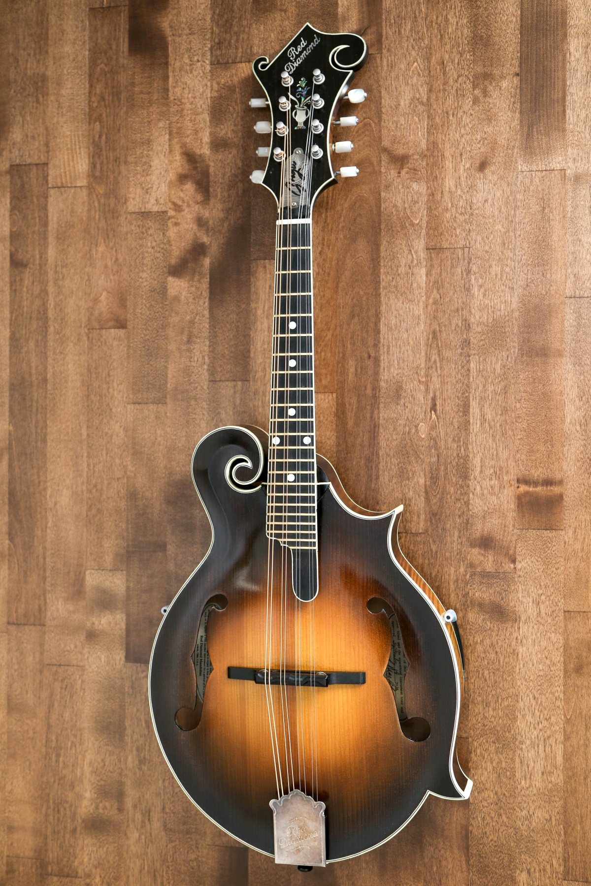 Phil Woodhull   Mandoline Instrument des Jahres Mandolinenspieler des Tages