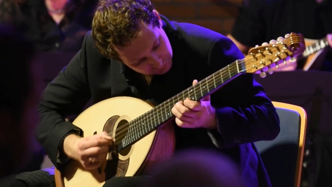 Ferdinand Binnendijk Mandoline Instrument des Jahres Mandolinenspieler des Tages