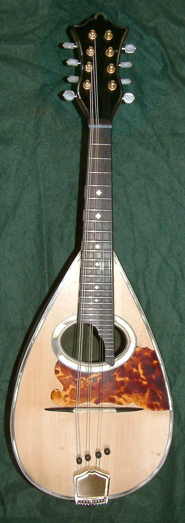 Richard Walz Vinaccia Mandoline Instrument des Jahres Mandolinenspieler des Tages