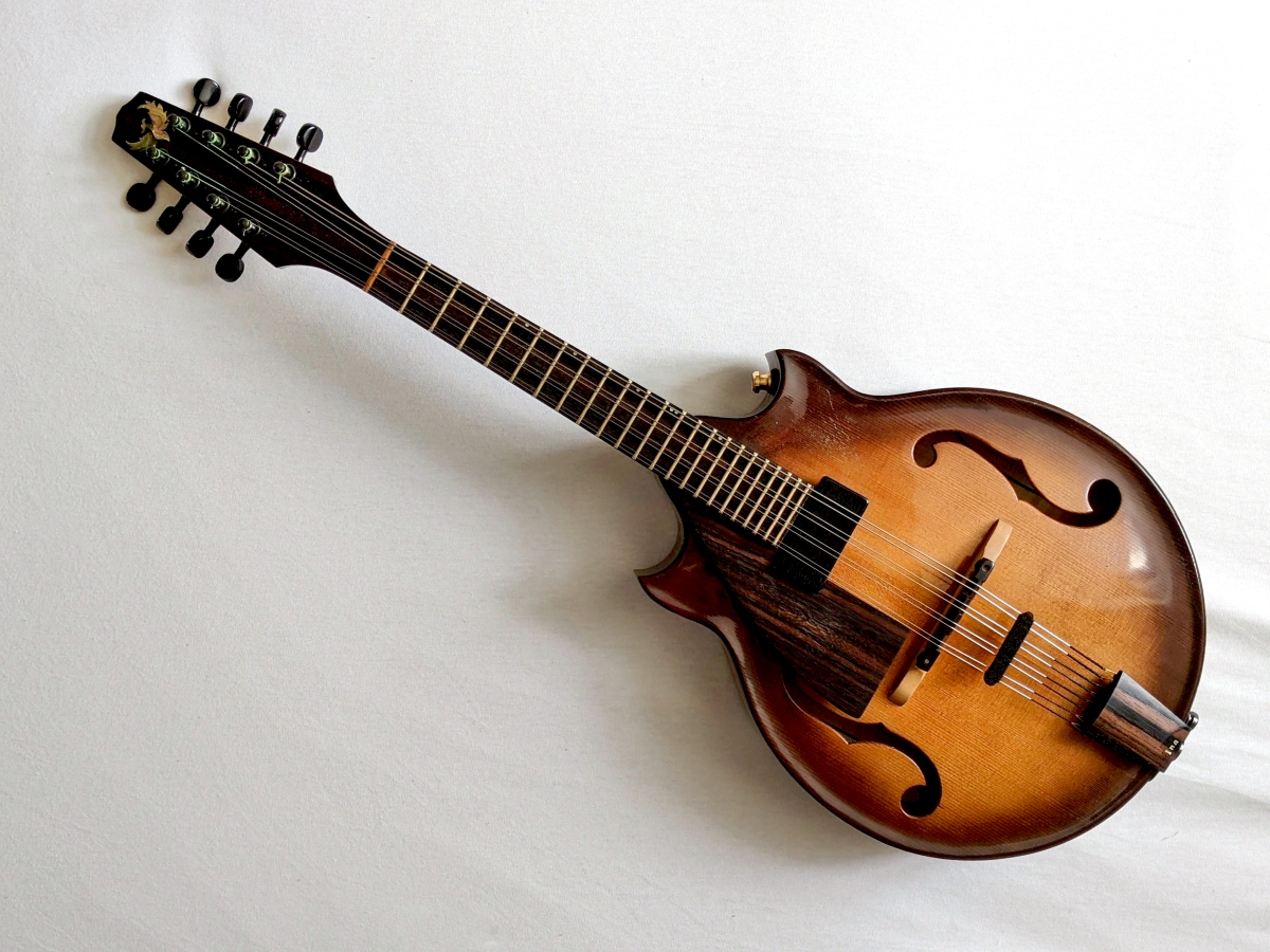 Ina Spang Mandoline Instrument des Jahres Mandolinenspieler des Tages