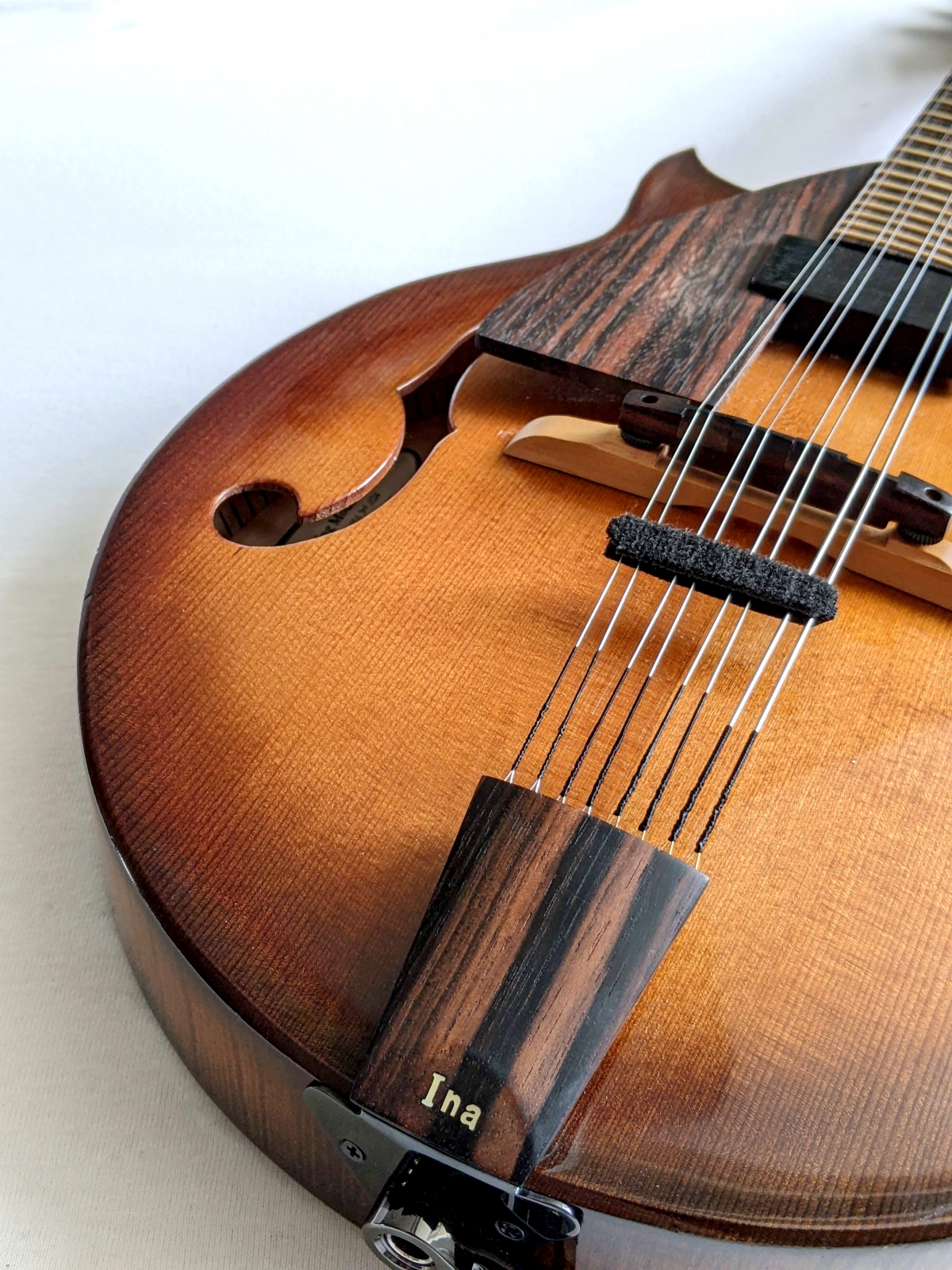 Ina Spang  Mandoline Instrument des Jahres Mandolinenspieler des Tages