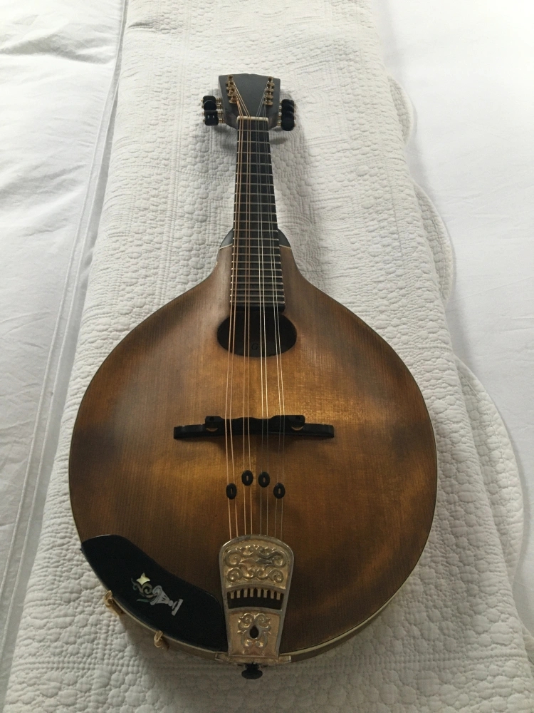 Aidan Crossey Mandoline Instrument des Jahres Mandolinenspieler des Tages