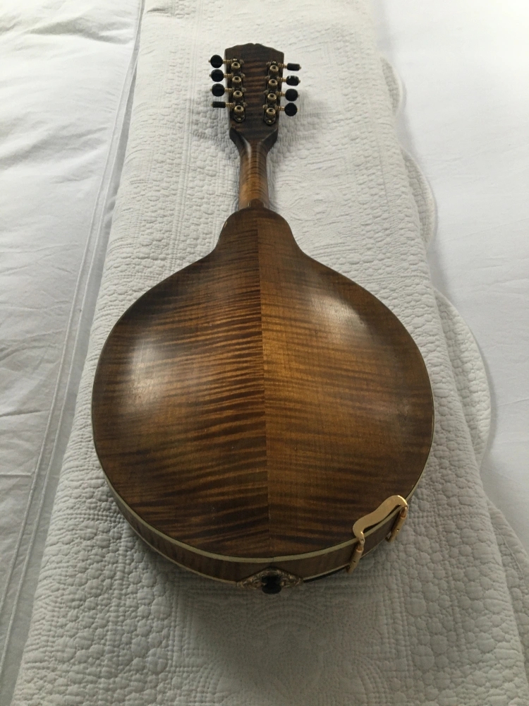 Aidan Crossey Mandoline Instrument des Jahres Mandolinenspieler des Tages