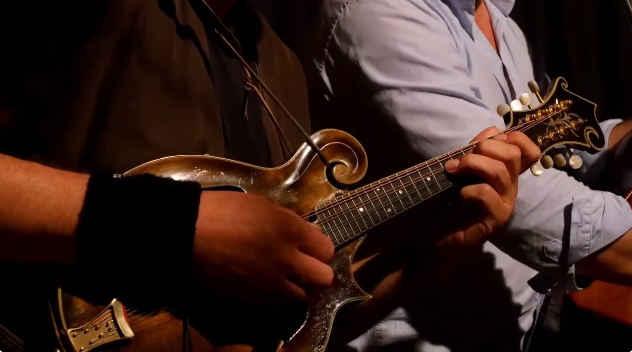 Andreas Wäldele Mandoline Instrument des Jahres Mandolinenspieler des Tages