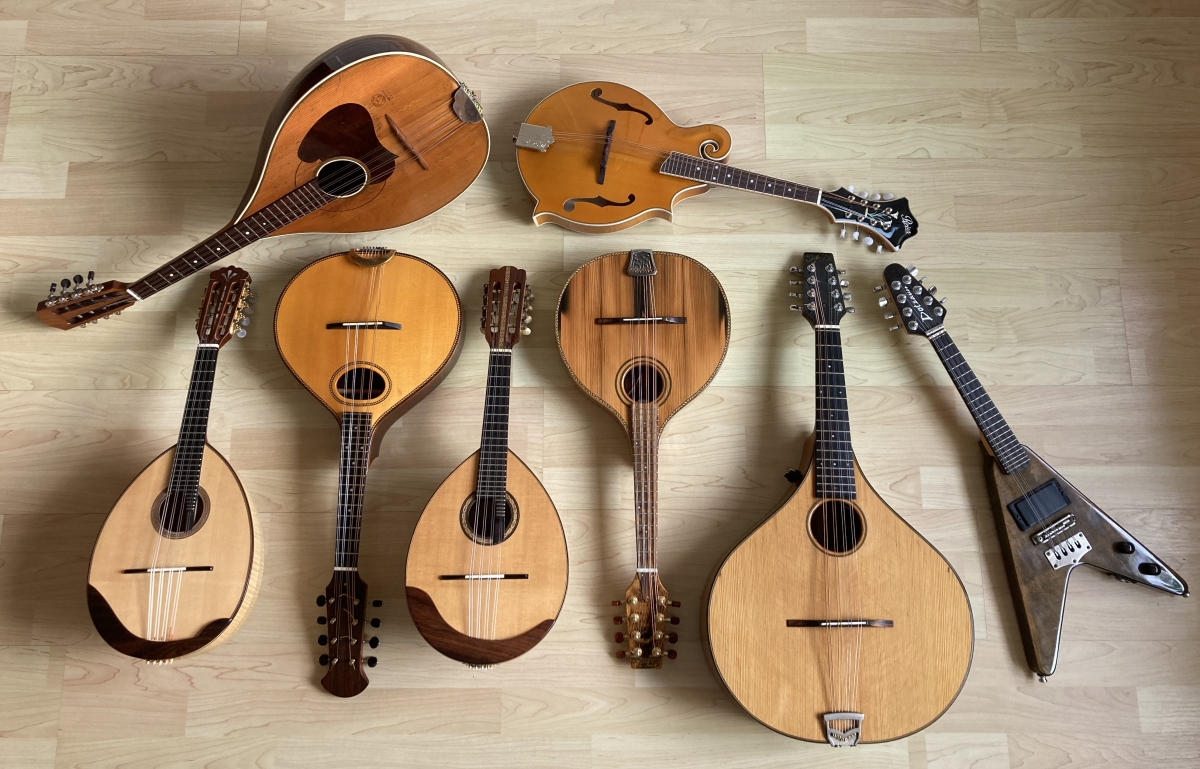 Jochen Roß Mandoline Instrument des Jahres Mandolinenspieler des Tages