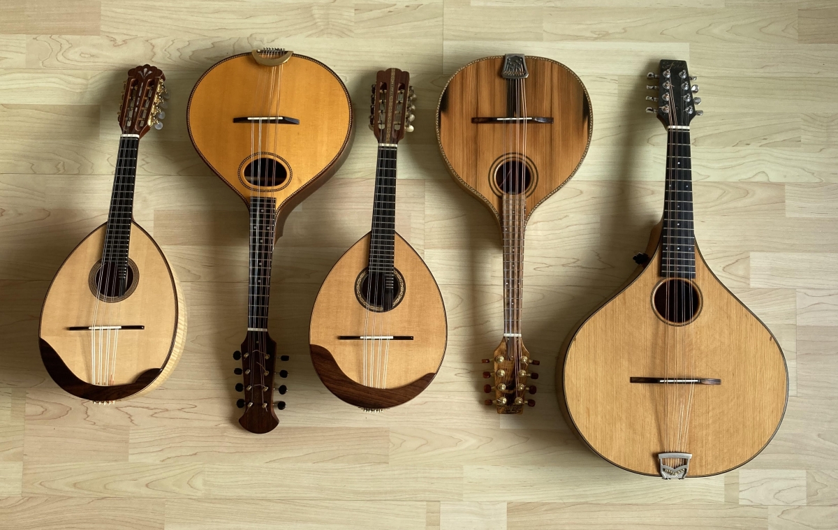 Jochen Roß  Mandoline Instrument des Jahres Mandolinenspieler des Tages