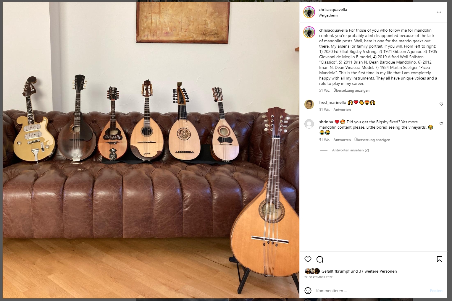 Chris Acquavella Mandoline Instrument des Jahres Mandolinenspieler des Tages