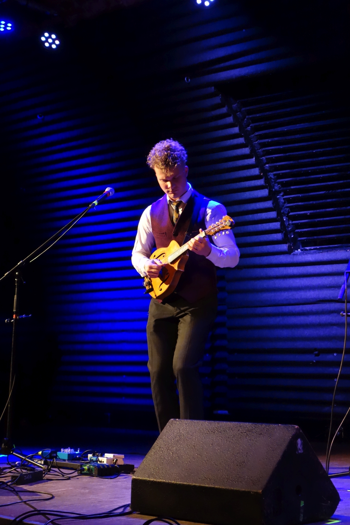 Villu Talsi Mandoline Instrument des Jahres Mandolinenspieler des Tages