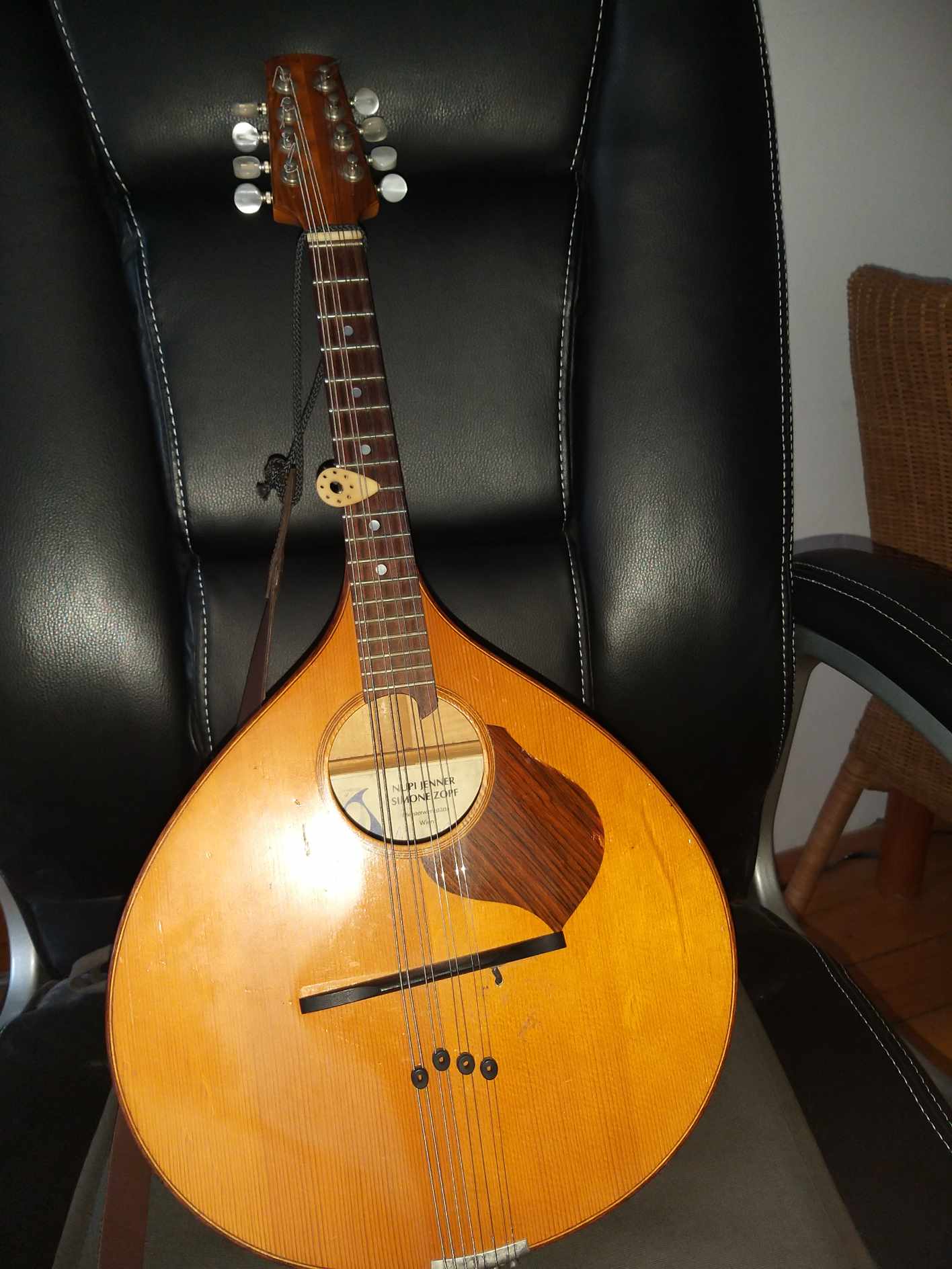 Christian Gruber-Ruesz Mandoline Instrument des Jahres Mandolinenspieler des Tages