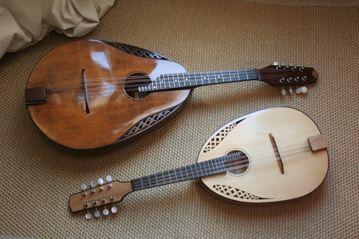 Fabio Gallucci Mandoline Instrument des Jahres Mandolinenspieler des Tages