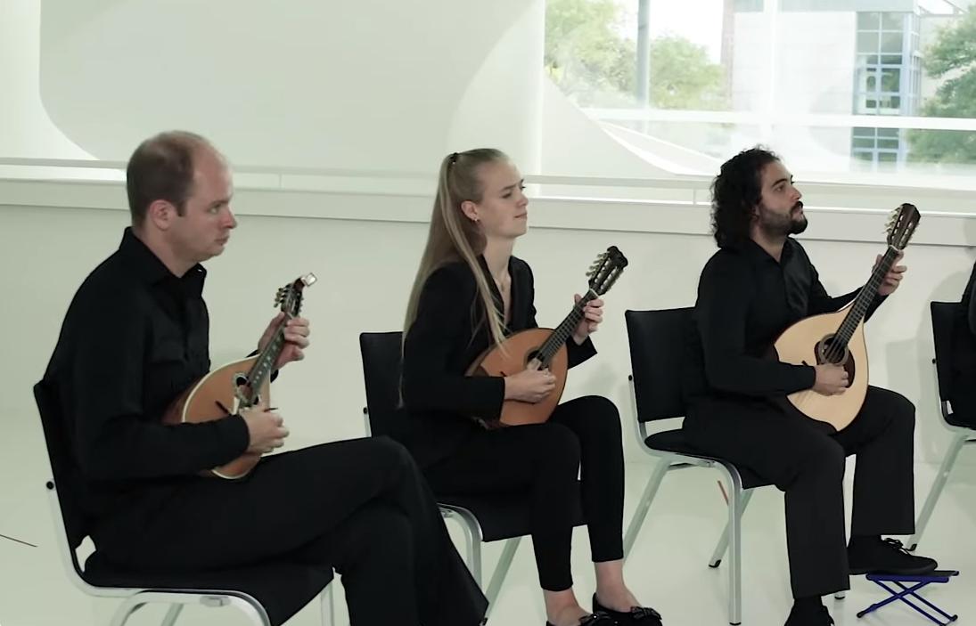 Sebastiaan de Grebber  Mandoline Instrument des Jahres Mandolinenspieler des Tages