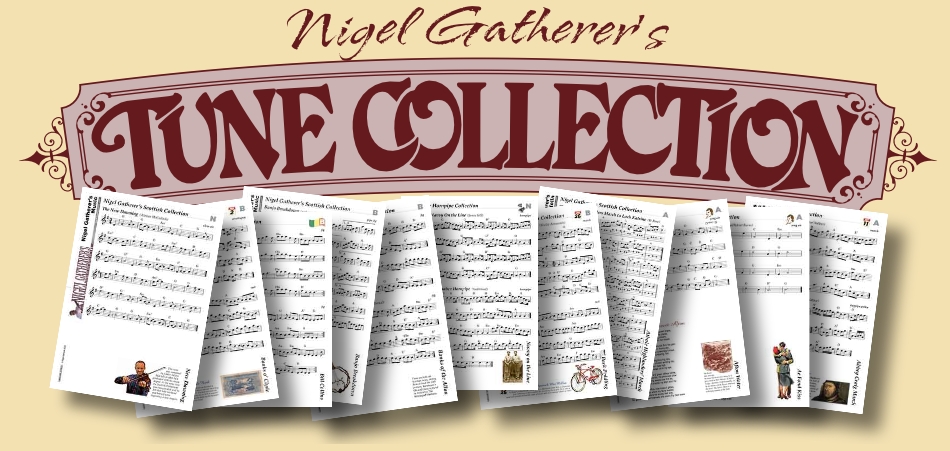 Nigel Gatherer Mandoline Instrument des Jahres Mandolinenspieler des Tages