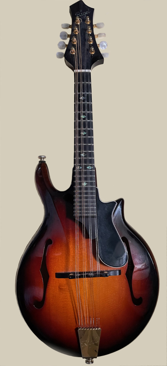Nigel Gatherer Mandoline Instrument des Jahres Mandolinenspieler des Tages