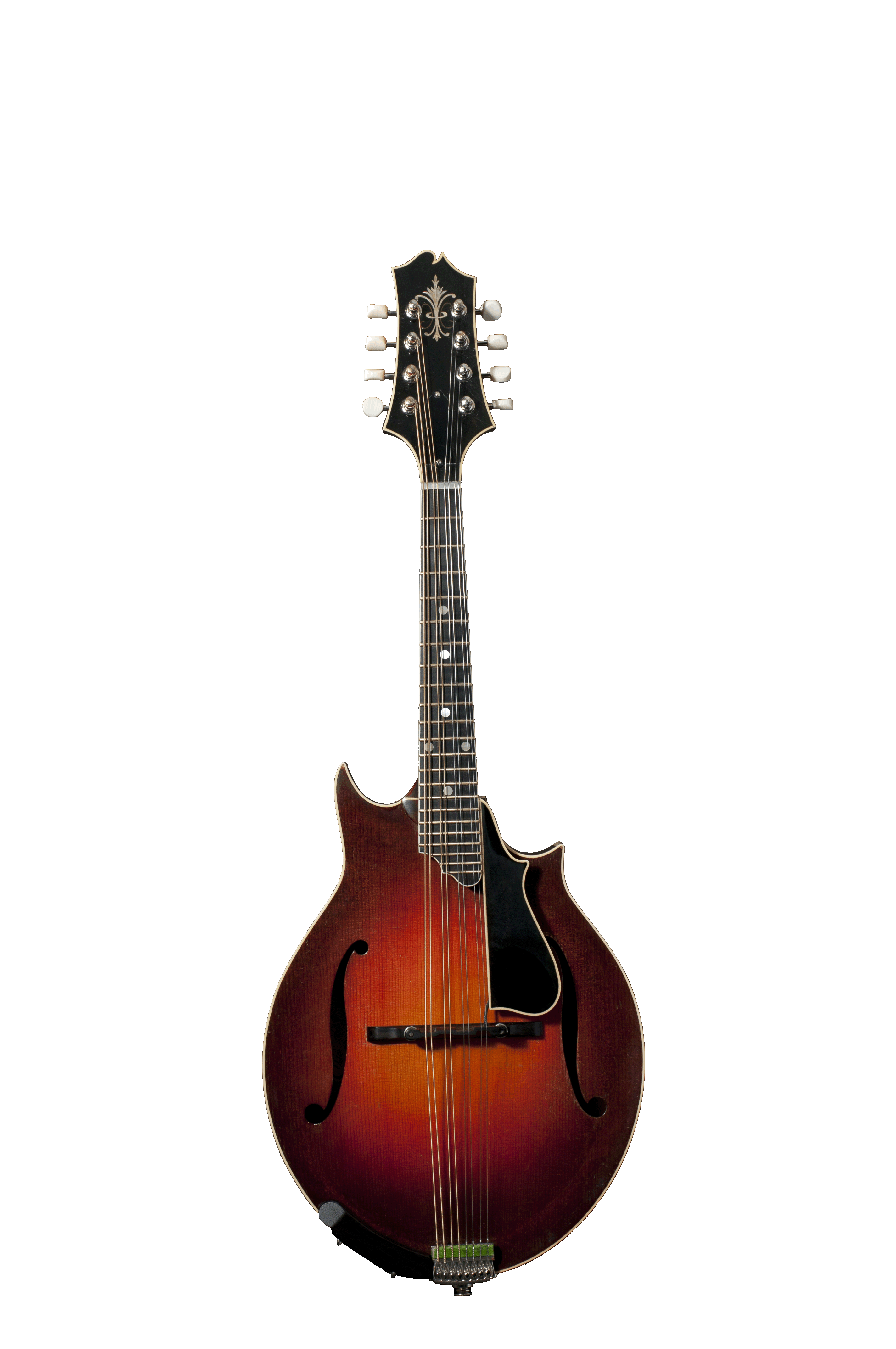 Don Stiernberg Mandoline Instrument des Jahres Mandolinenspieler des Tages