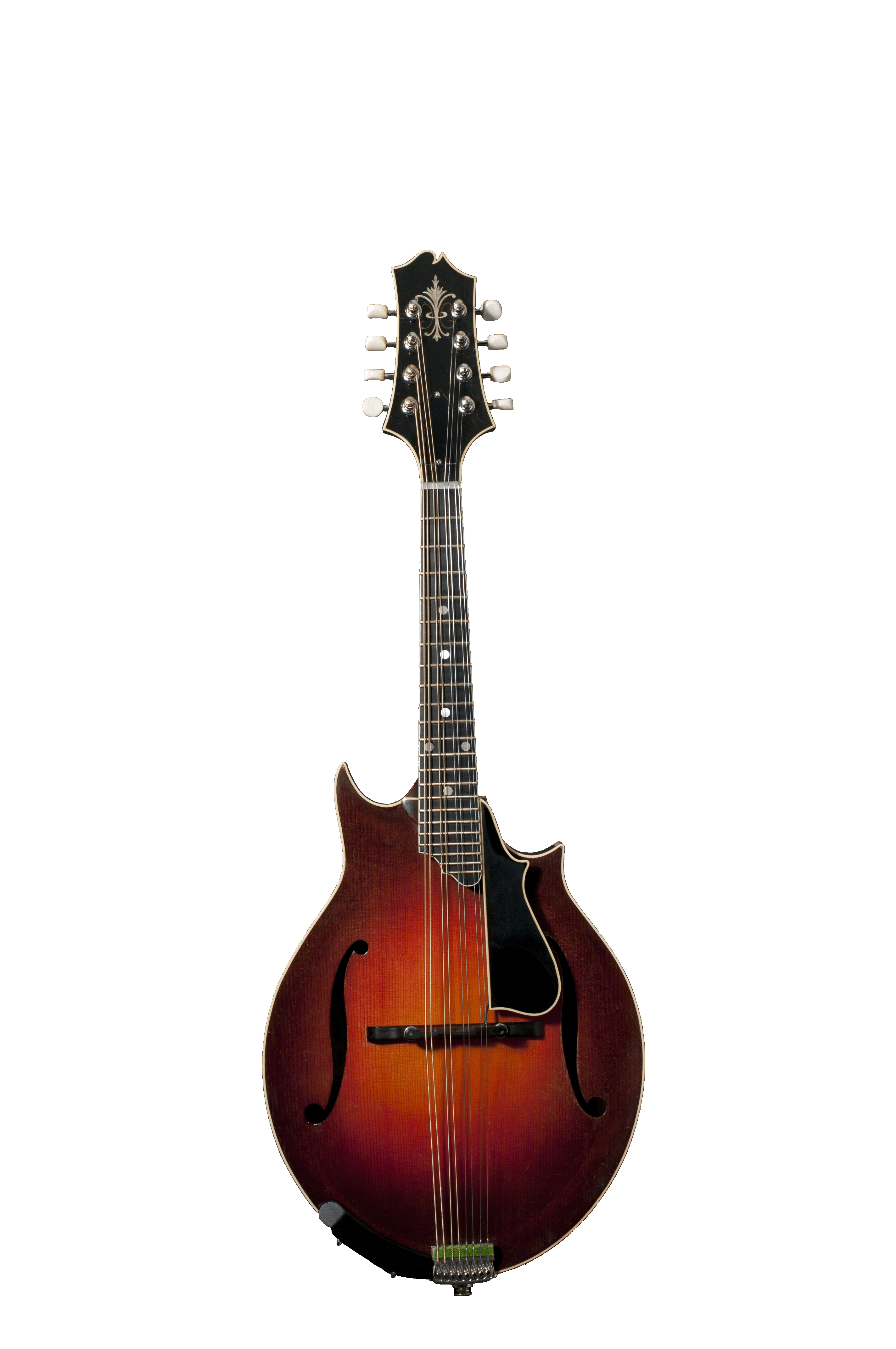 Don Stiernberg   Mandoline Instrument des Jahres Mandolinenspieler des Tages